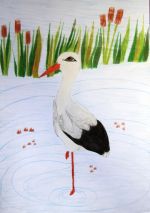 Staníková Anetka.jpg